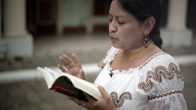 Post no Bills – Fabiano Kueva – Ecuador7