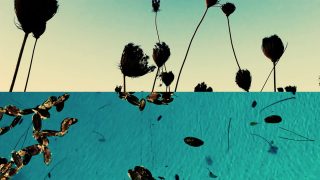 Sealed Faithful Halls – Anna Fotiadou – Cyprus4