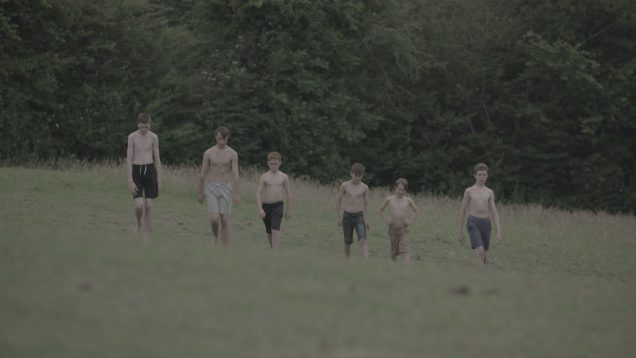 The Opened Field – Helmie Stil – UK6