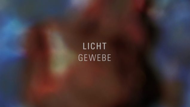 The Remembering Movement – Mersolis Schöne – Austria 4