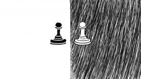 Zebra – Oleksandra Krasavtseva – Germany6