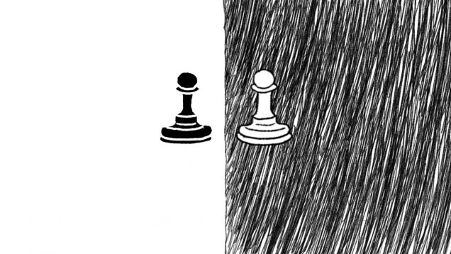 Zebra – Oleksandra Krasavtseva – Germany6