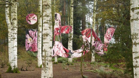 ITV_Mark_Sharon_271120_0407-low-res